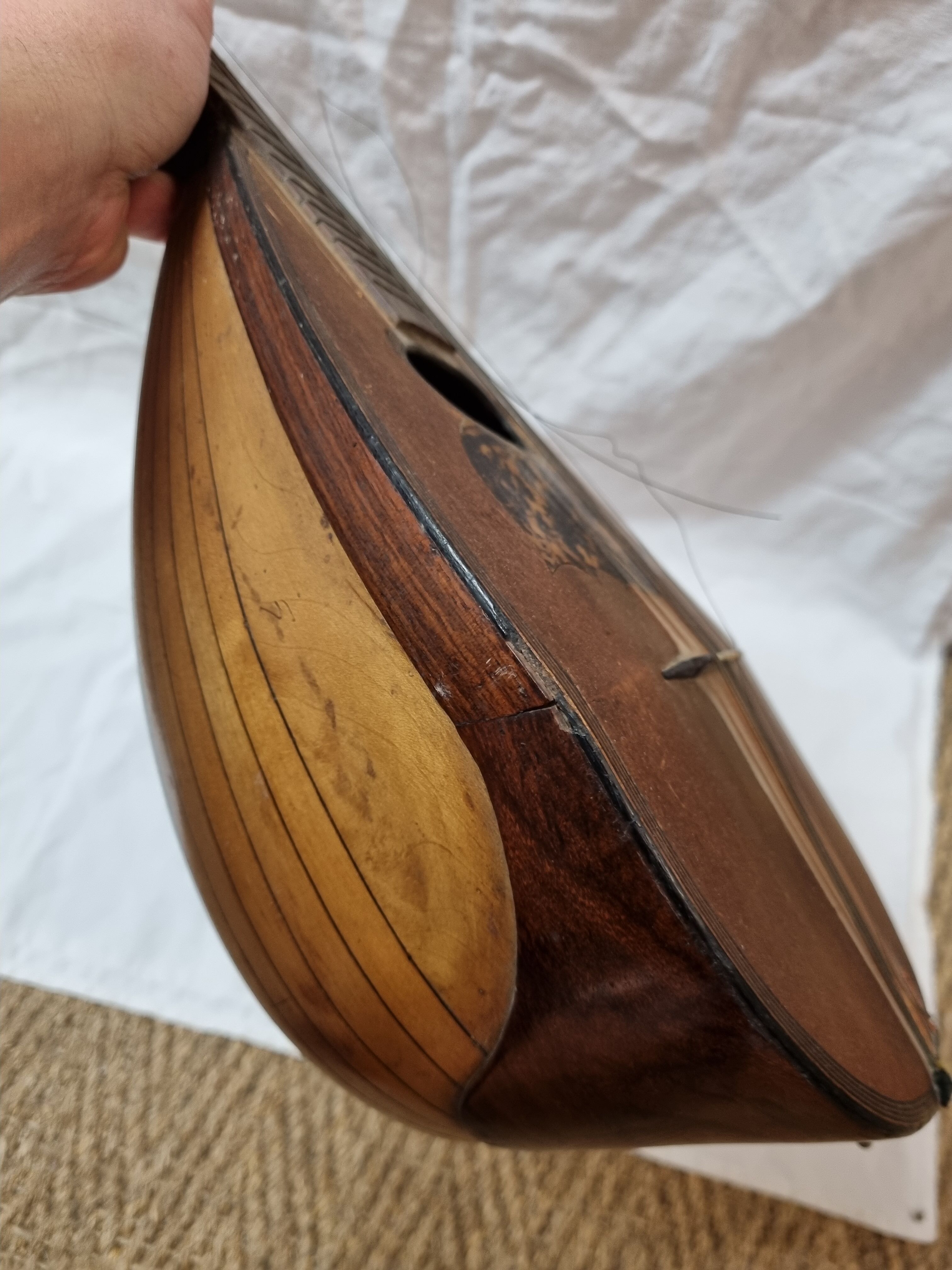 Mandolin Domenico Salvadori Napoli antico