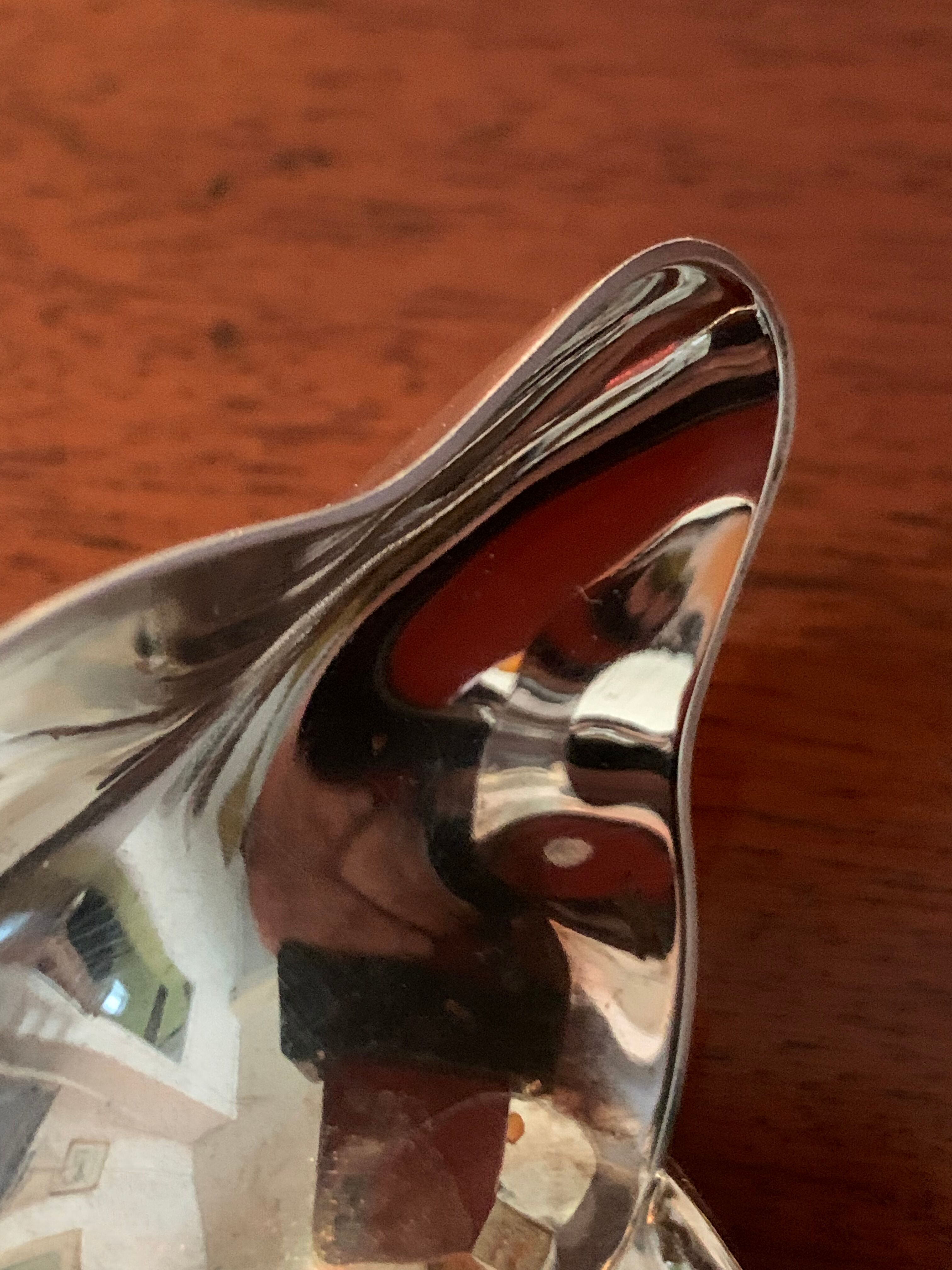 Lean fat sauce spoon