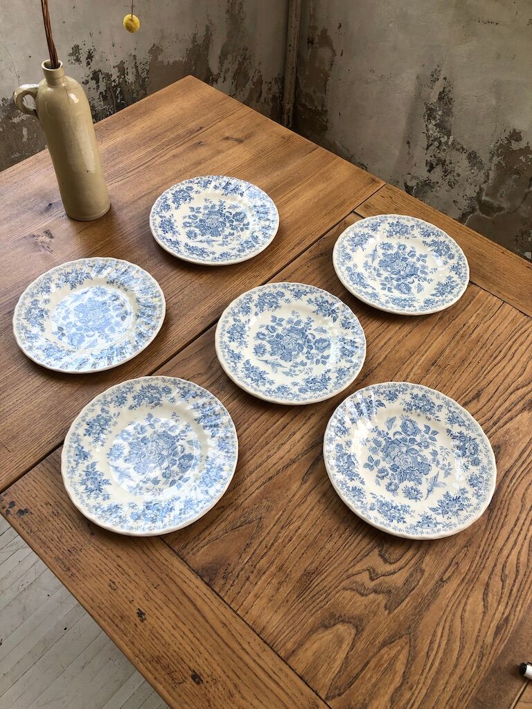 6 Myott Meakin plates