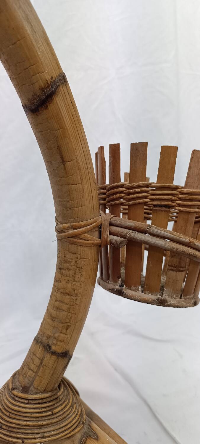 Bamboo snake