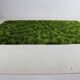 Beau tapis vert mélangé