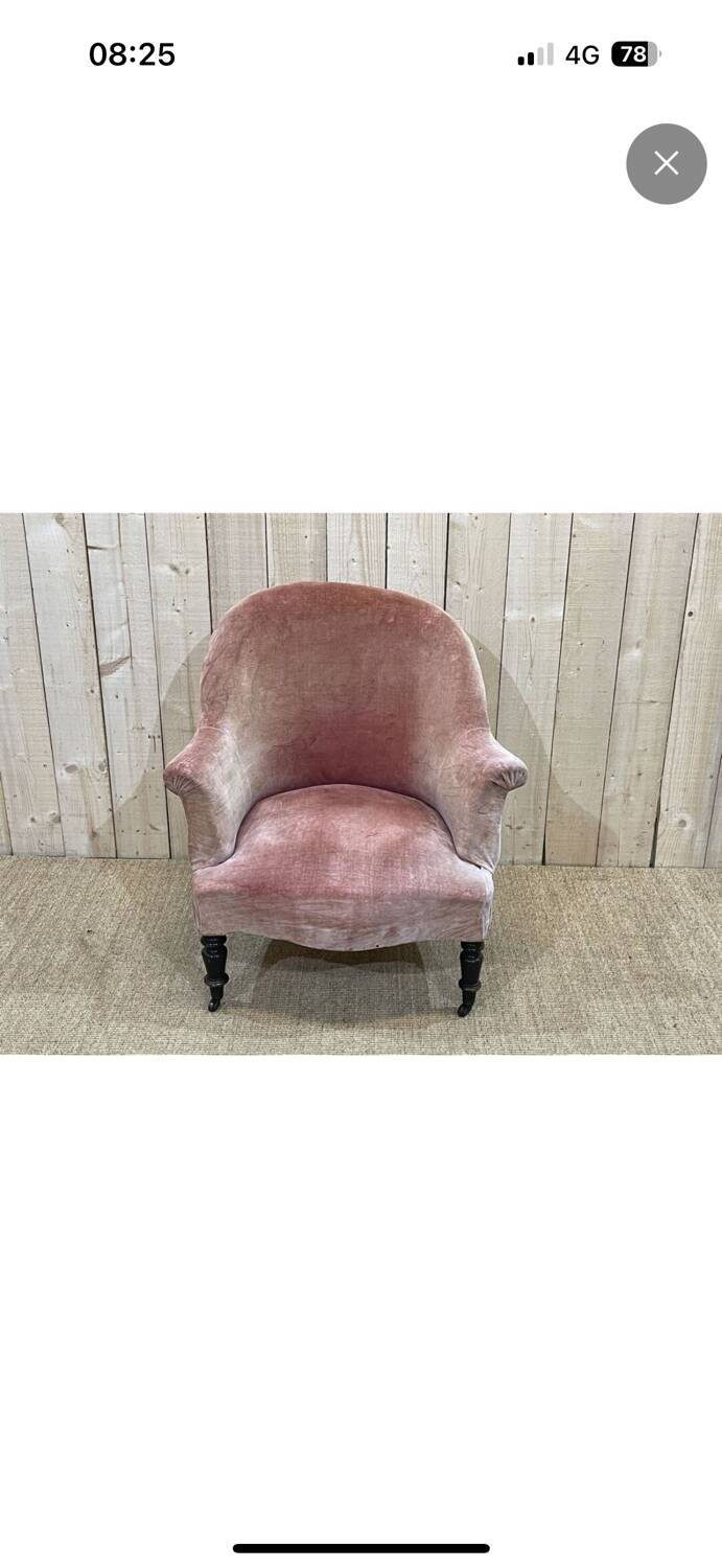 Napoleon III Toad Armchair