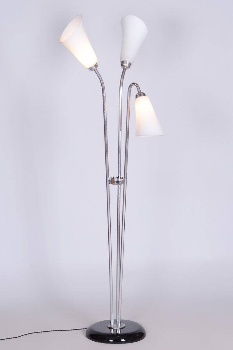 Czech Art Deco Floor Lamp in Chrome, Opal Glass and Lacquered Wood, 1930s