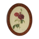 Framed botanical board Vintage rose
