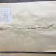 Lot de 3 planches d’herbier