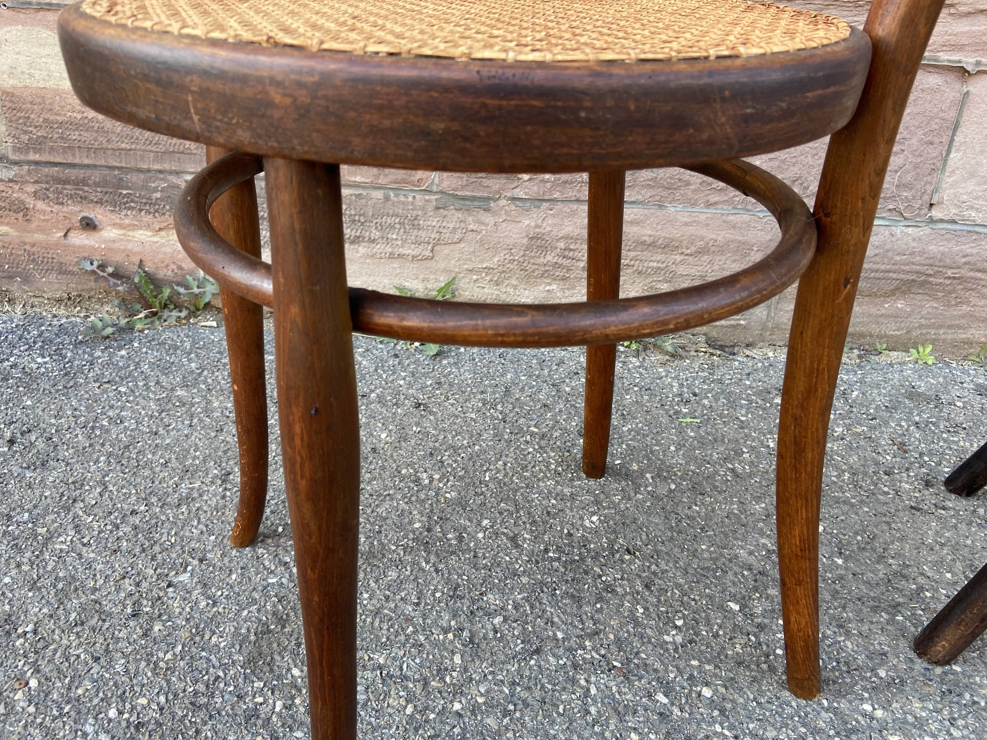 Pair of chairs bistro curved wood