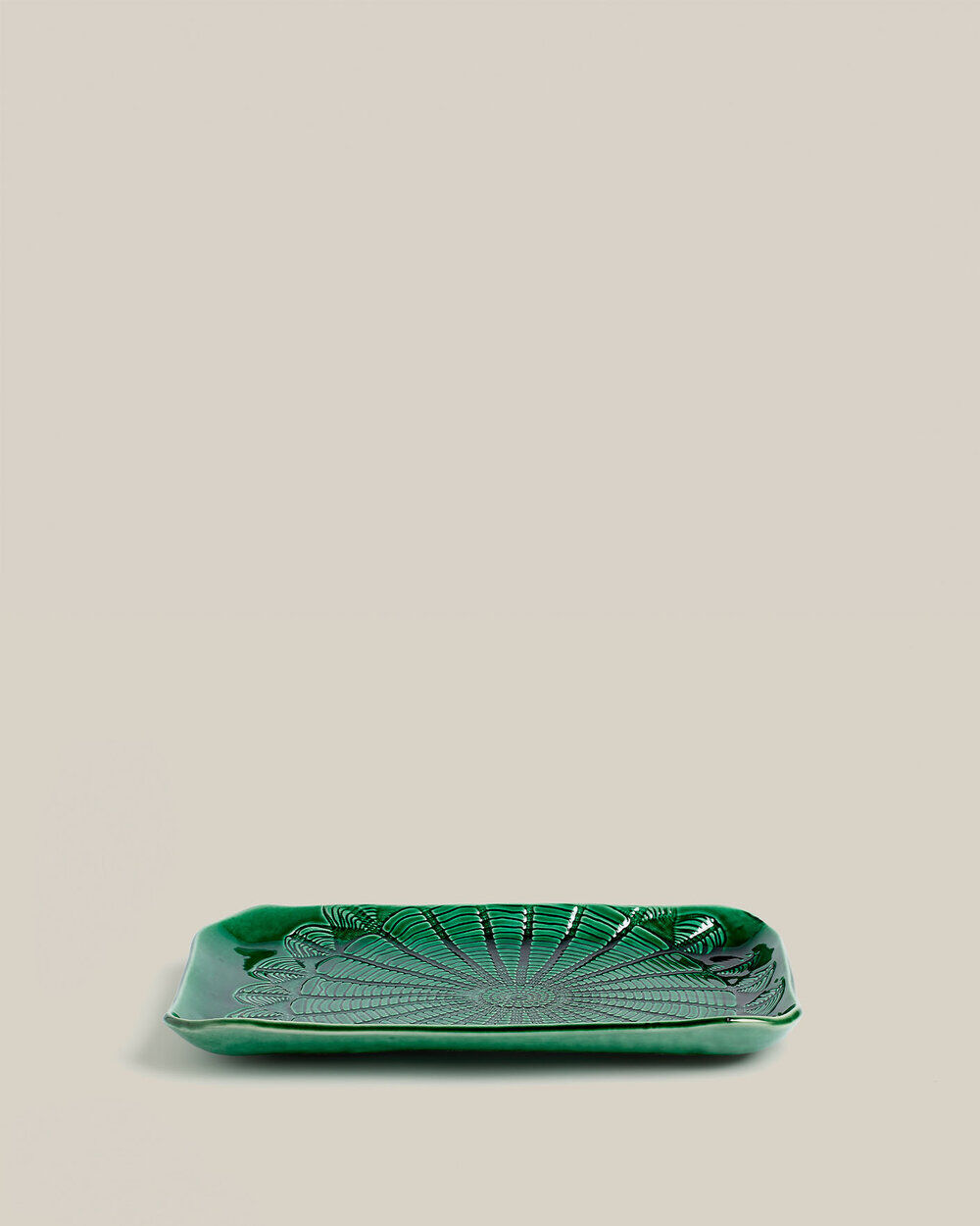 Dish