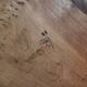 Round coffee table in Elm Burl, Art Deco decorative work - Year 1941
