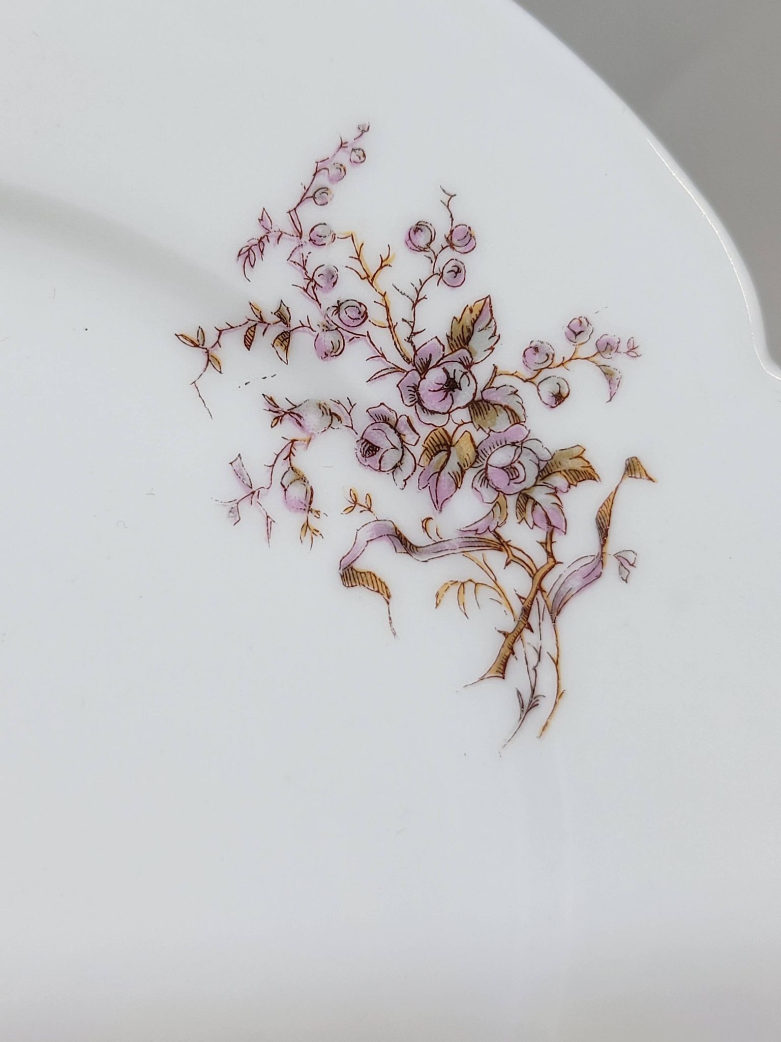 8 Superbes Assiettes Anciennes XIXème Décor Aux Oiseaux Sur Des Branches