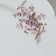 8 Superbes Assiettes Anciennes XIXème Décor Aux Oiseaux Sur Des Branches