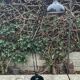 Vintage Agemob architect style floor lamp 1970s