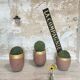 Planters, foundry crucibles