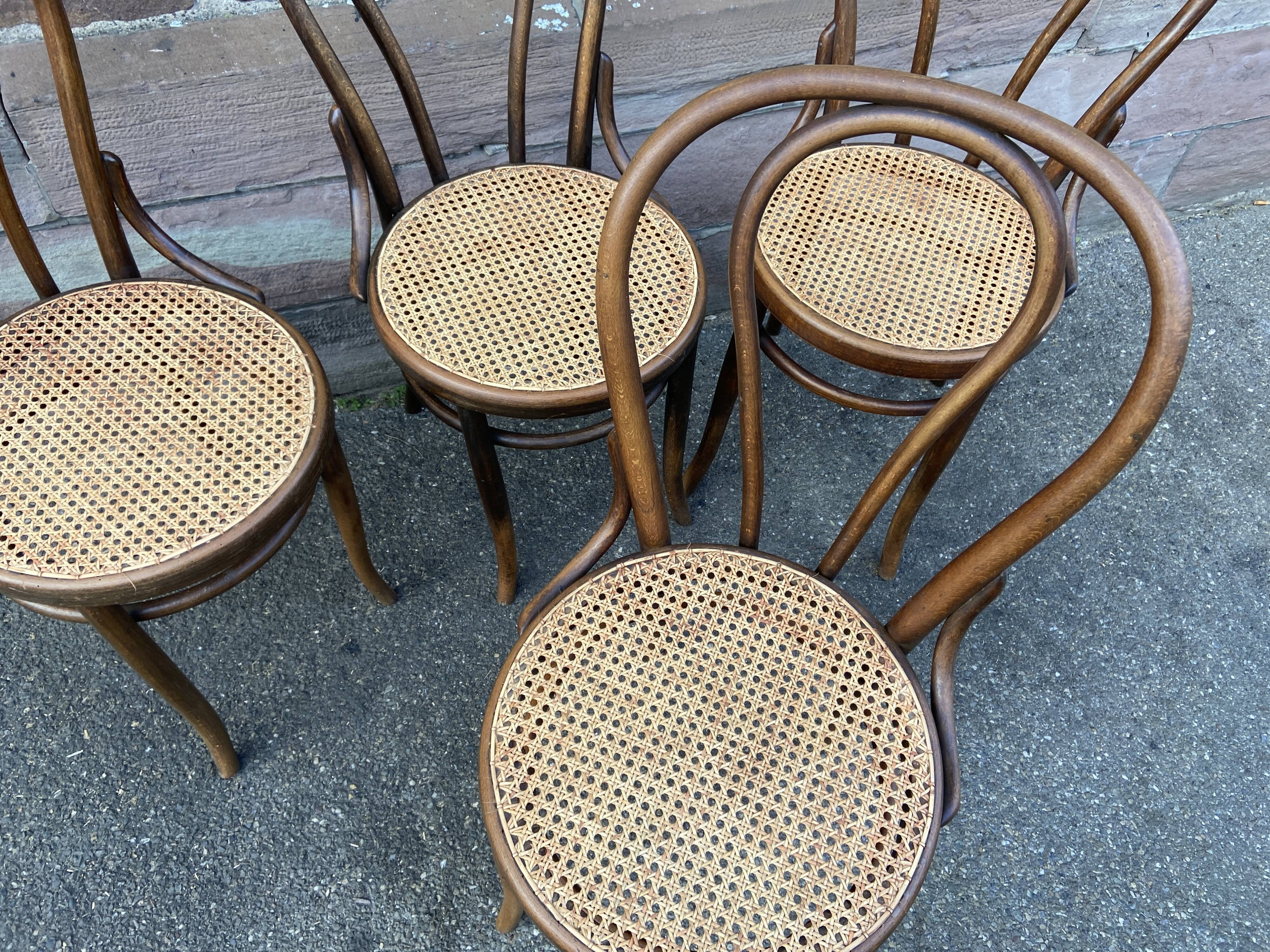 Suite of 4 chairs bistrot Fischel Nr 18 bentwood
