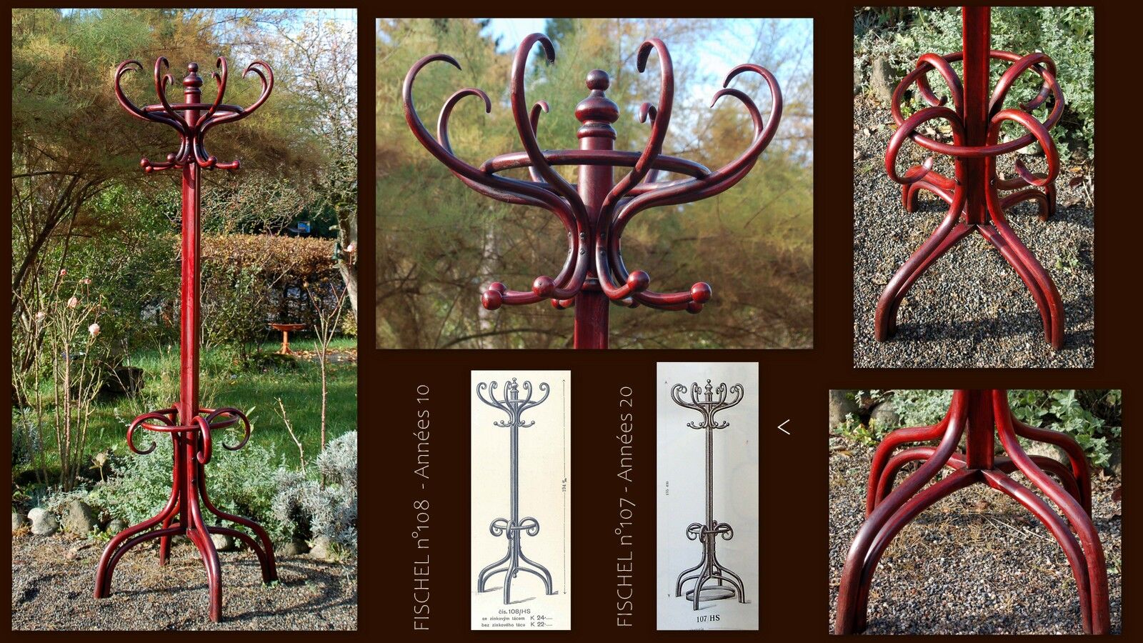 Fischel bistro parrot