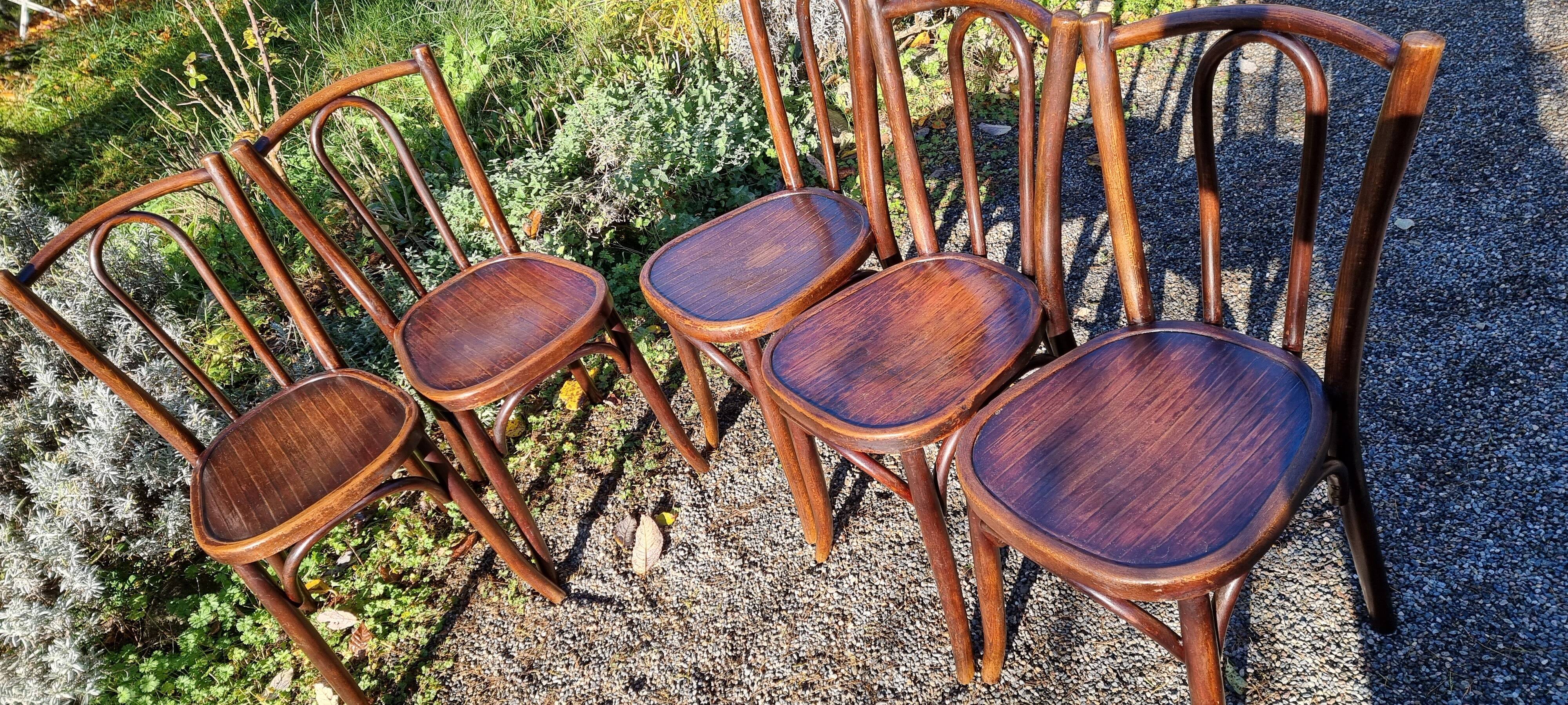 5 Baumann chairs n°42 20 years