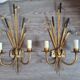 Reed wall lamps Circa 1950