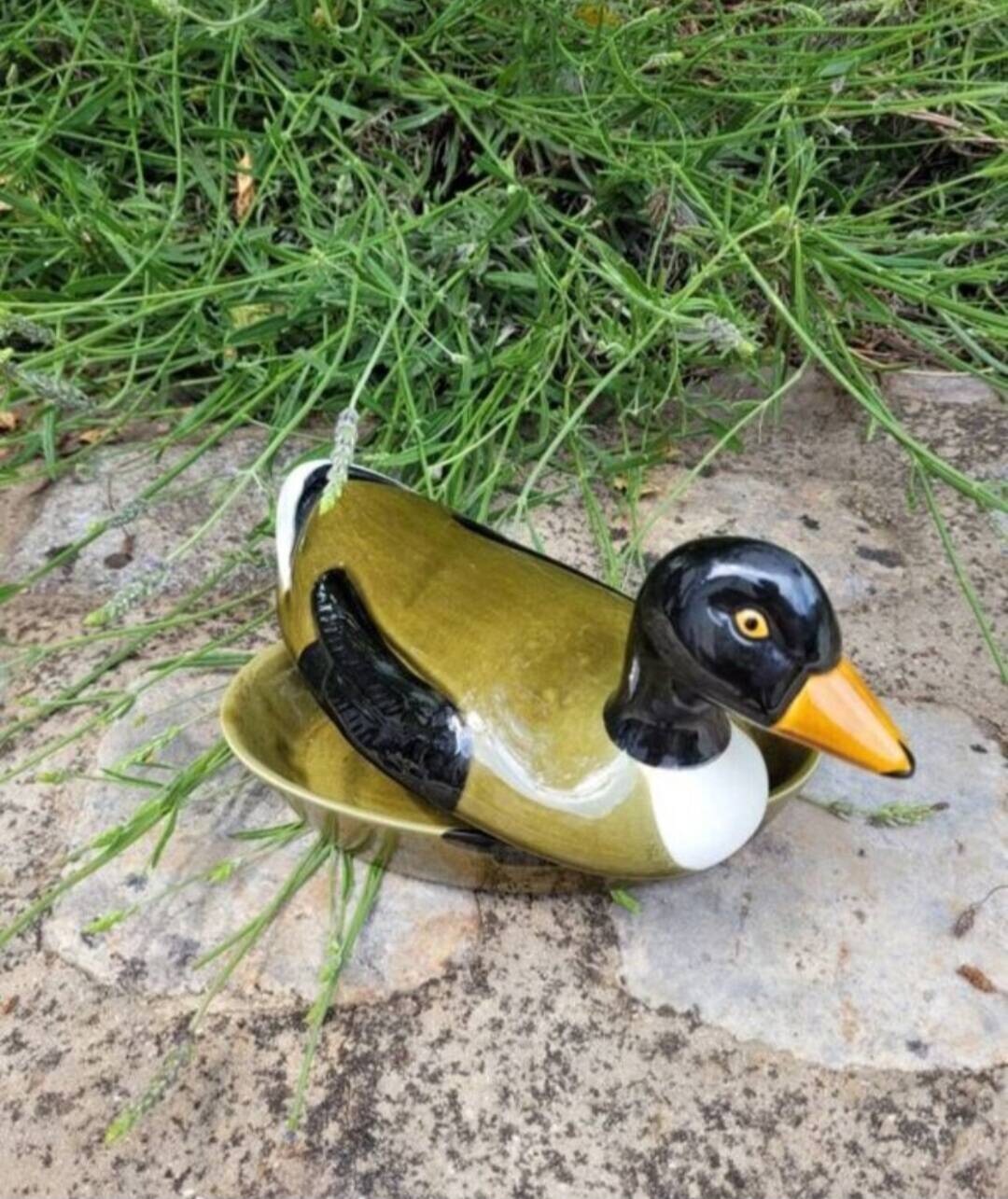 Duck terrine in barbotine Michel Caugant