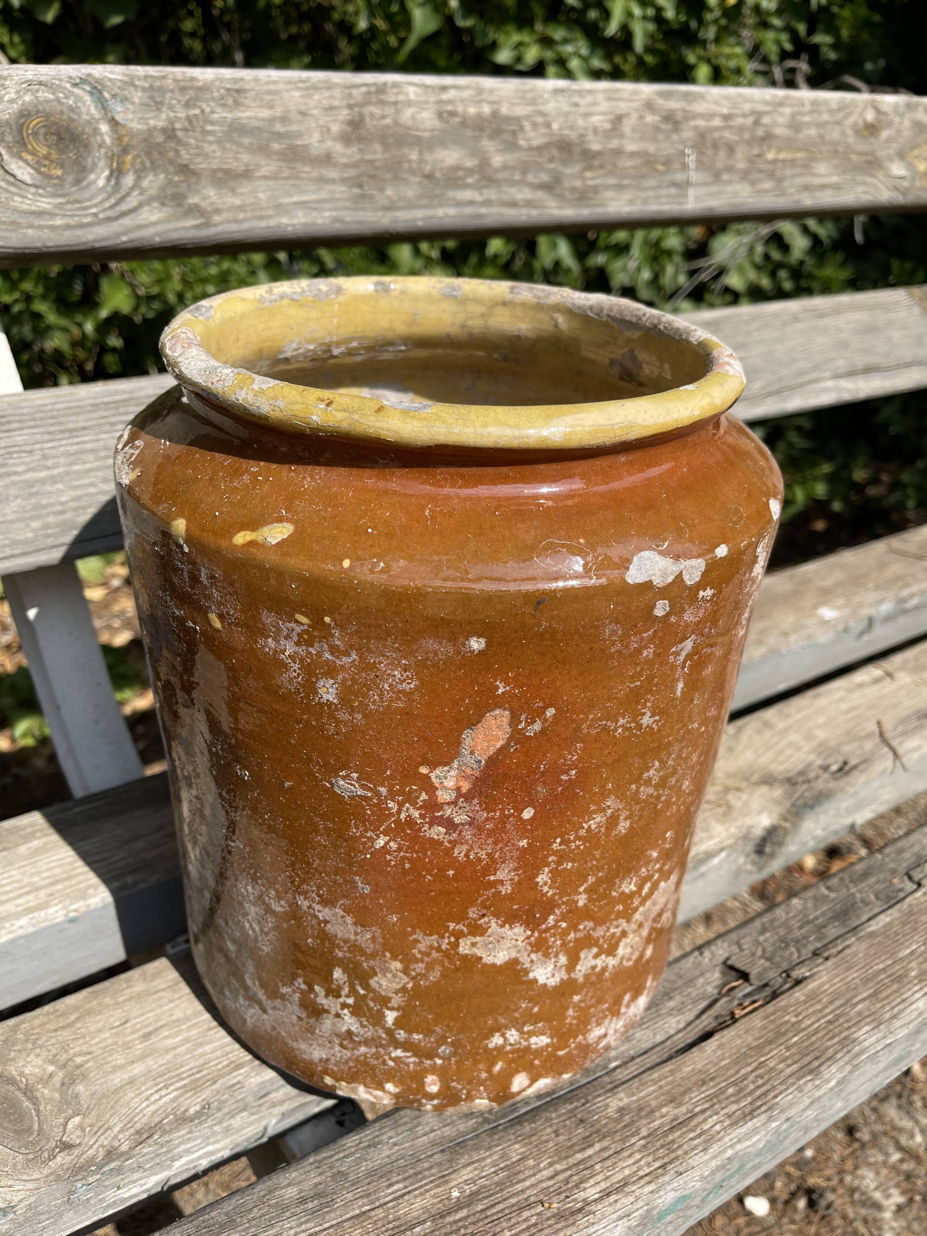 Terracotta pot