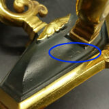 Pair of empire style swan sconces - petitot