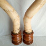 Pair of horns mounted on a pedestal