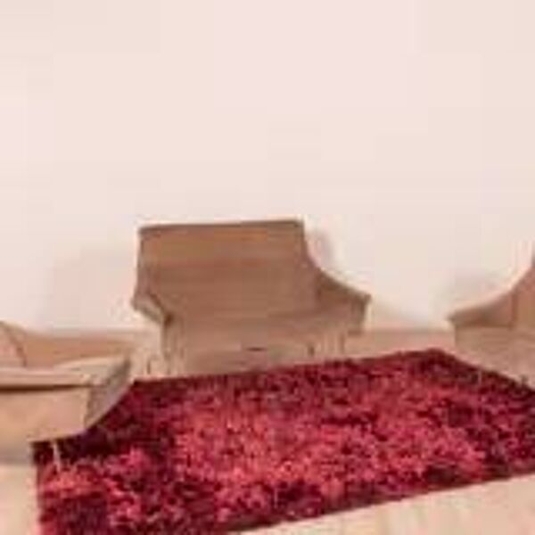 Ensemble de salon de Guy Besnard