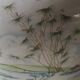Vase with handcrafted Asian style porcelain lid