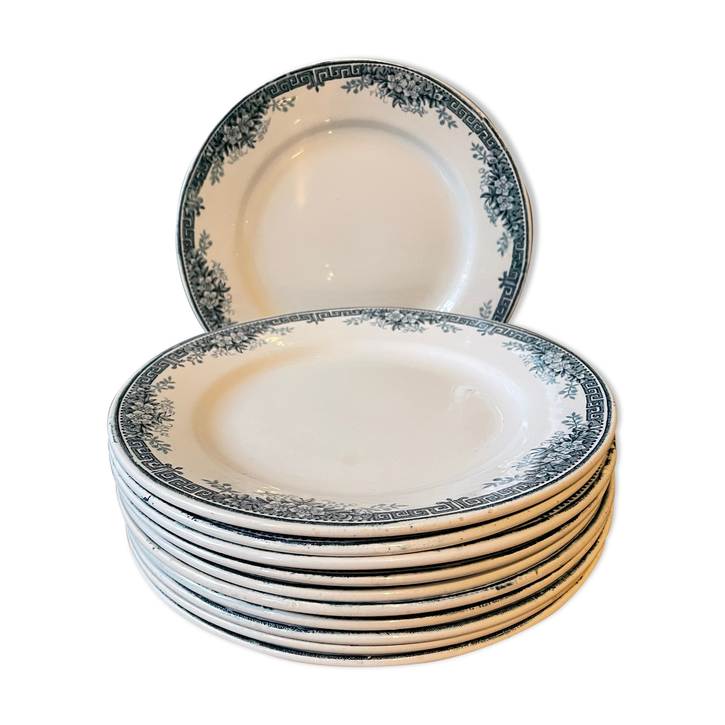 Set of 11 flat plates Terre de Fer in Earthenware of St Amand, model Lucy