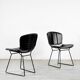 Harry Bertoia Side Chairs With Original Upholstery, Mint 1970's