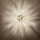 1 of 2 Amazing Golden Bubble Glass Flush Lamps by Doria