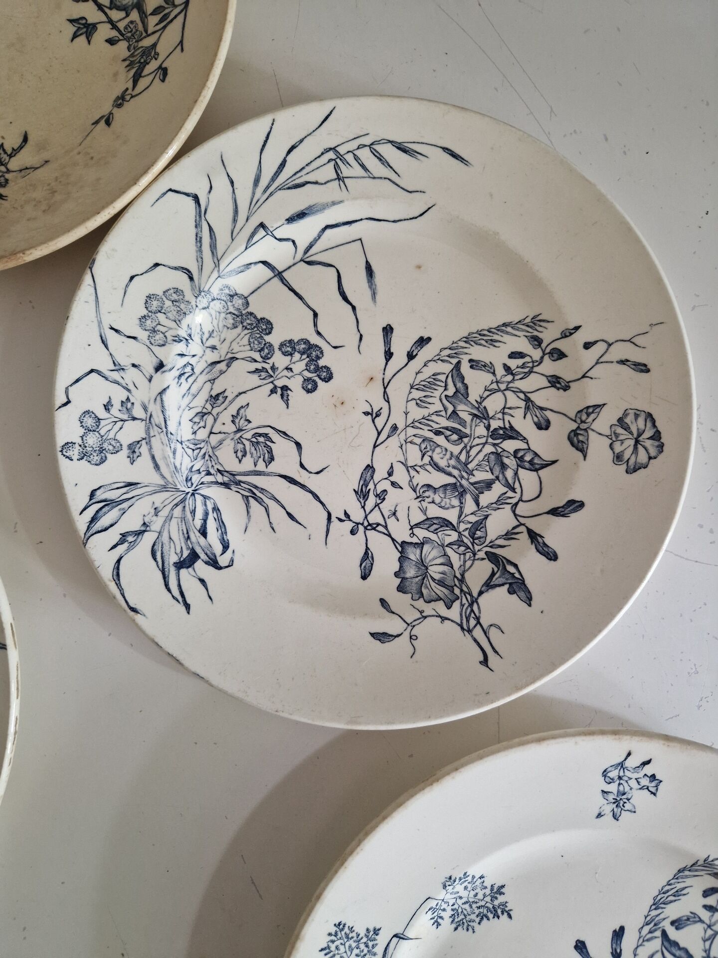Lot De 9 Assiettes Plates Terre De Fer