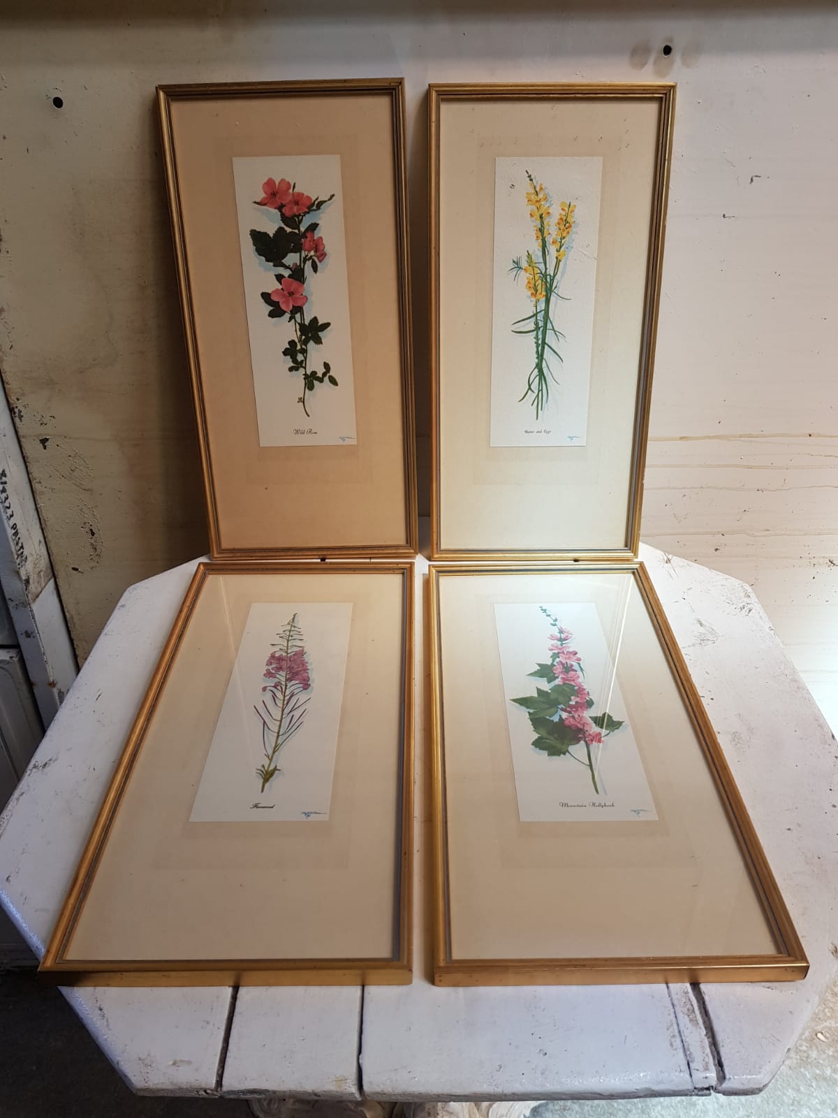 Series 4 Old Botanical Boards Flowers GRANDALL + Frame Gilded Wood Vintage