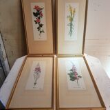 Série 4 Anciennes Planches Botaniques Fleurs GRANDALL + Cadre Bois Doré Vintage