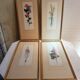 Series 4 Old Botanical Boards Flowers GRANDALL + Frame Gilded Wood Vintage