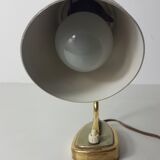 Lamp casserole