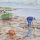 Marine painting