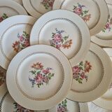 Amandinoise flowered dinner plates