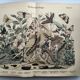 Gravure ancienne  1886 - Papillons européens (3). Chromo lithographie XIX