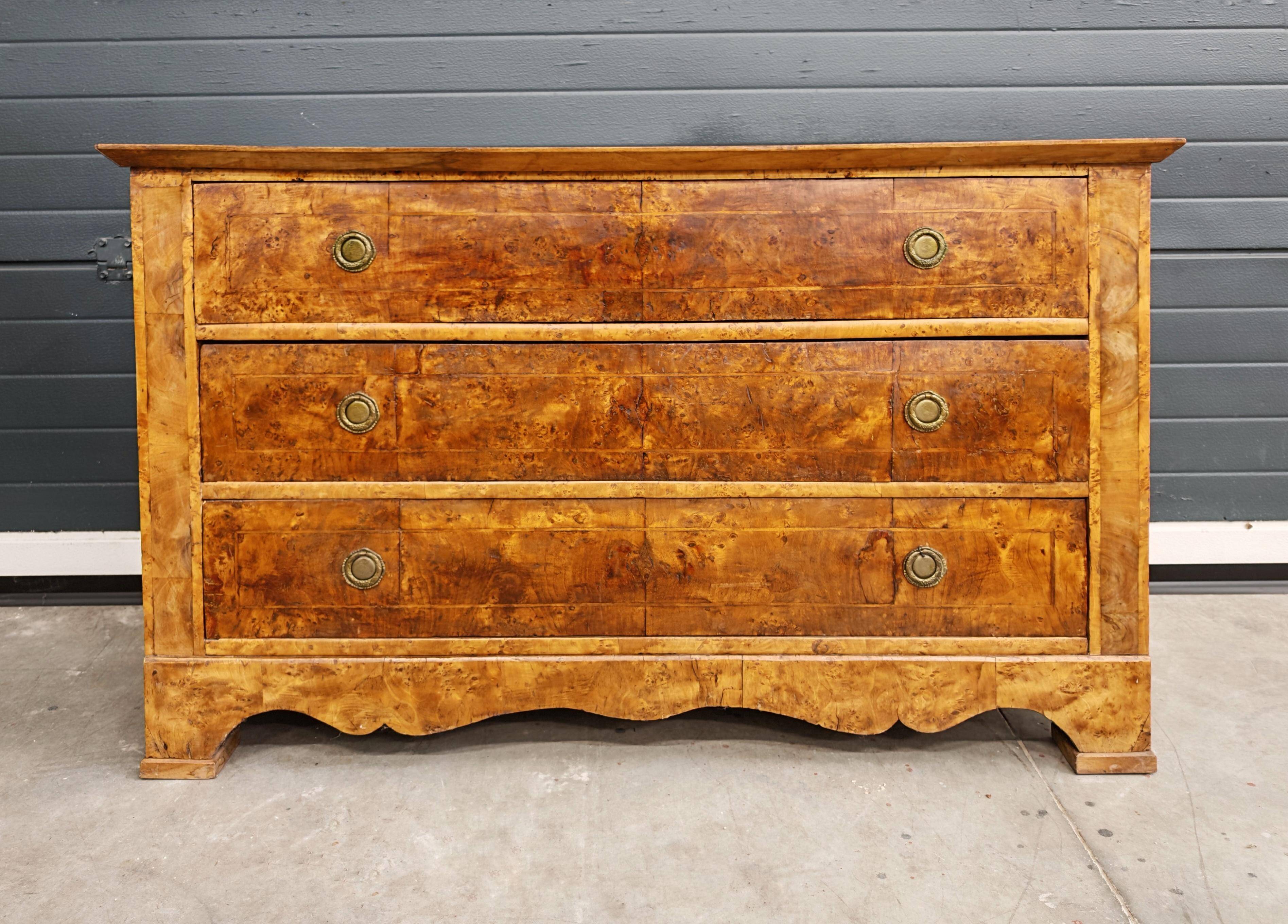Biedermeier Commode in Poplar, Austria 1820s