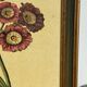 Botanical poster Auricula, after J.Duke