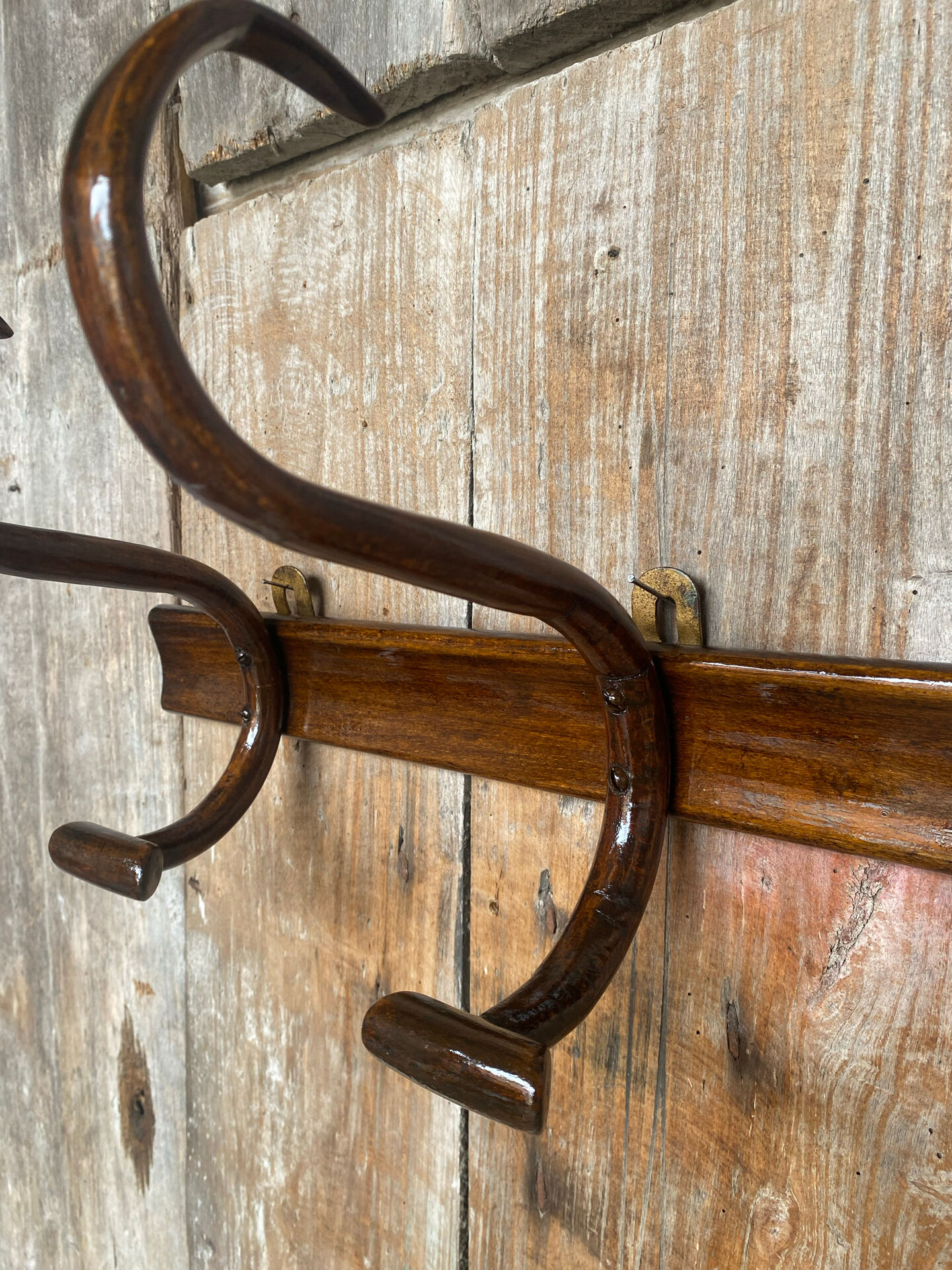 Antique Coat Rack THONET BAUMANN Curved Wood 1900 Vintage
