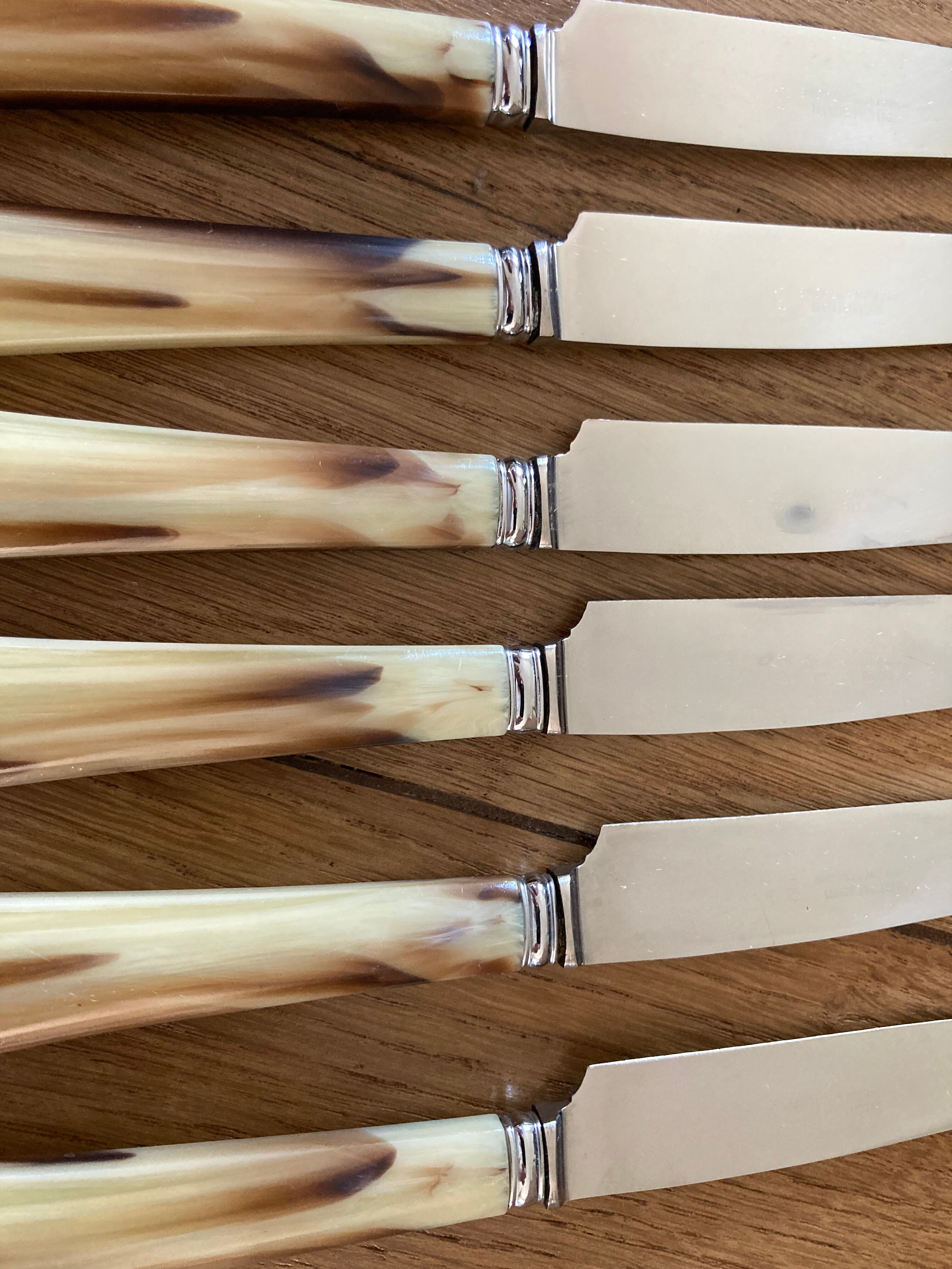 Case of 12 dessert knives