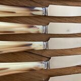 Case of 12 dessert knives