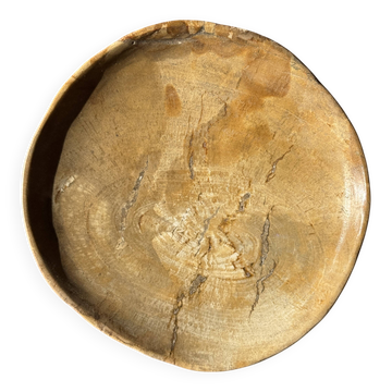 Small pocket tray or dish in orange-beige petrified wood D20.5 -3308