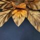 Hollywood Regency Florentine Flower-Shaped Gilt Flush Mount Hans Kögl Italy