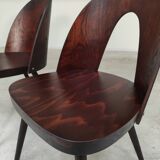 Set of 4 all-wood chairs by Antonin Suman for Tatra Nabytok