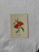 Botanical engraving naturalist plate French flower double-sided