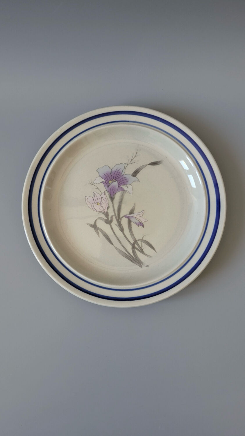 Set of 6 dessert plates