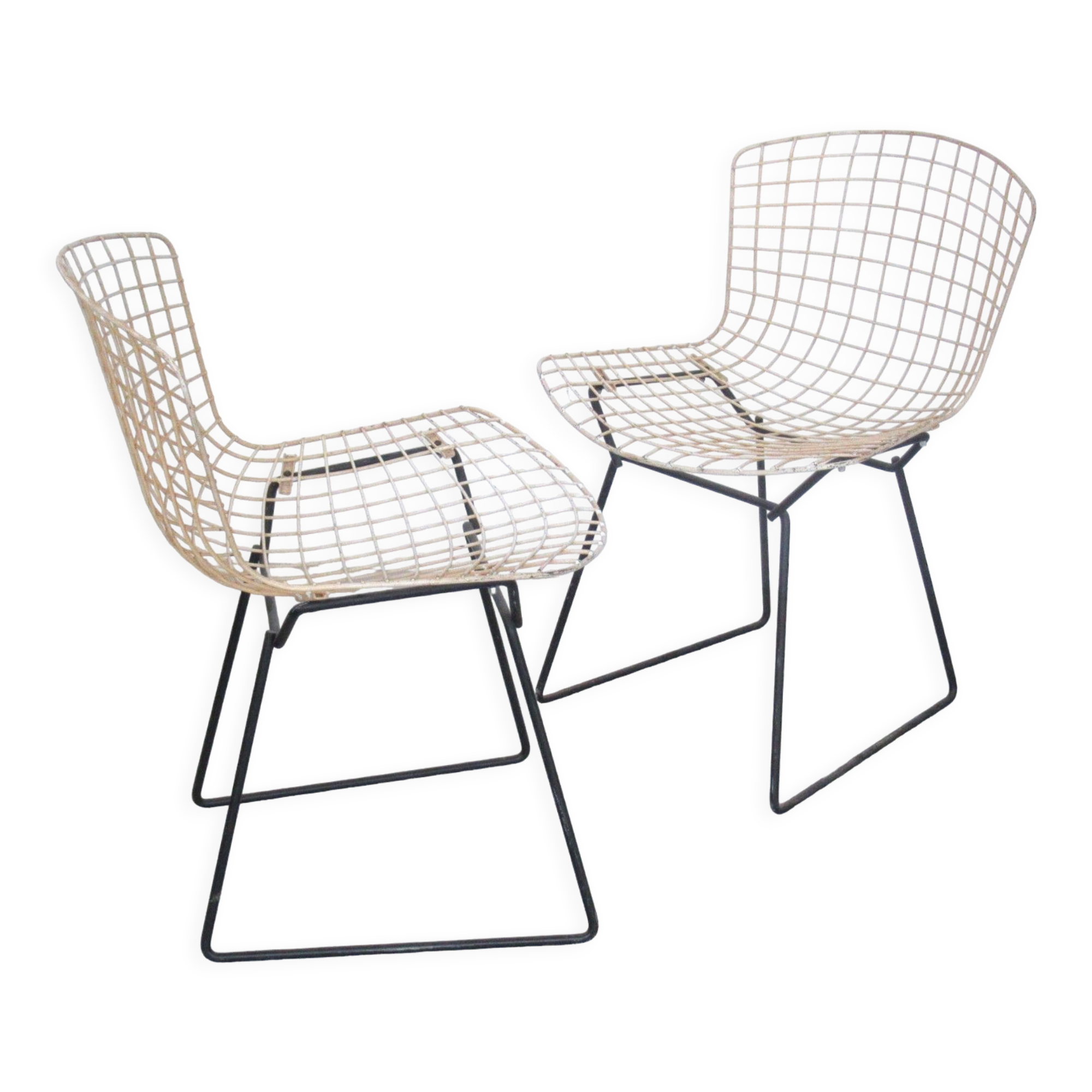Pair of chairs Harry Bertoia Knoll International