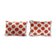 Paire de coussins