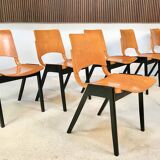 Set of 6 Dining Chairs P7 by Roland Rainer for E & A Pollack, Vienna 1952